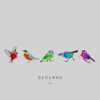 9 мая - Дельфин