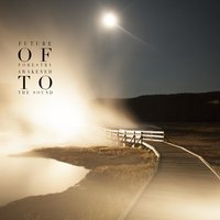 The Wait Is Done - Future Of Forestry