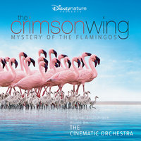 Crimson Skies - The Cinematic Orchestra, The London Metropolitan Orchestra