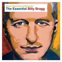 Waiting for the Great Leap Forwards - Billy Bragg