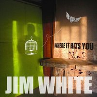 What Rocks Will Never Know - Jim White