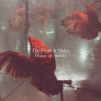 Animal of One - The Fresh & Onlys