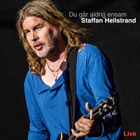 Du går aldrig ensam - Staffan Hellstrand, The Nomads