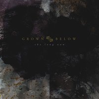 The Long Now - Grown Below
