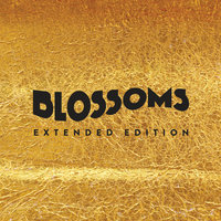 My Favourite Room - Blossoms