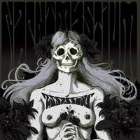 Your True Enemy - Nachtmystium