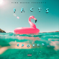 Spokes