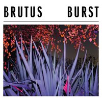 Brutus