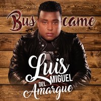 Búscame - luis miguel del amargue