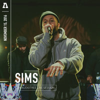They Don't Work For Us - Sims