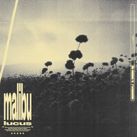 Malibu - Lucus