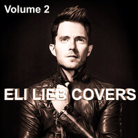 Firework - Eli Lieb