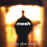 I Don't Think They Know - Mesh