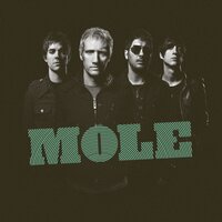 Un Golpe a la Vez - Mole