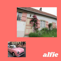 Strawberry Chewing Gum - Alfie