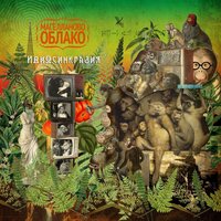Оберег - Магелланово Облако, Елена Войнаровская
