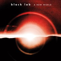 Where Will You Run - Black Lab