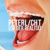 Wir sollten uns halten - PeterLicht