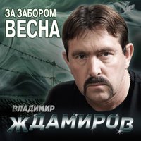 Где же воля - Владимир Ждамиров