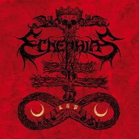 Nyctophilia - Ecnephias
