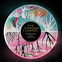 Vultures - The Ramona Flowers