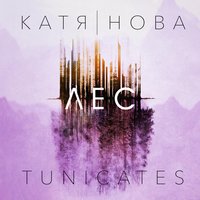 Почтальоны-птицы - Катя Нова, Tunicates
