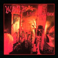 The Manimal - W.A.S.P.