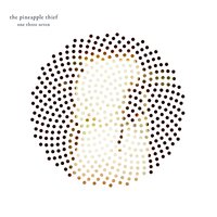 Pvs - The Pineapple Thief