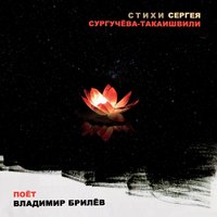 Я тебя нарисую - Владимир Брилёв