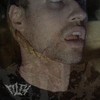 Covet - Adam Warren