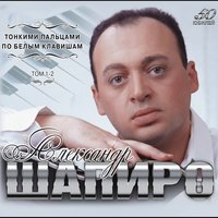 Случайная встреча - Александр Шапиро