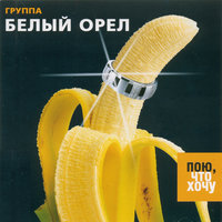 Когда ты вернёшься - Белый орёл