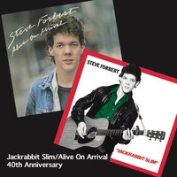 Song for the South (Time's Gonna Take Me Back) - Steve Forbert