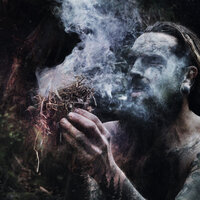 Old Growth - Old Growth