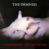 Generals - The Damned