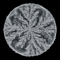 Trust - Max Cooper, Tom Hodge, Kathrin deBoer