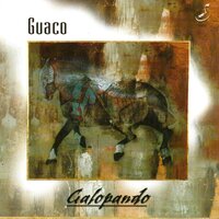 Para Volar - Guaco