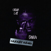 Damn - Cricket