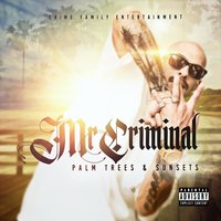 Based on a True Story - Mr. Criminal