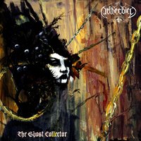 Ashen Nectar - Netherbird