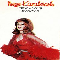 Aşkına Doyum Olmaz - Neşe Karaböcek
