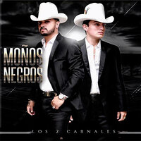 Lo Voy a Intentar - Los Dos Carnales