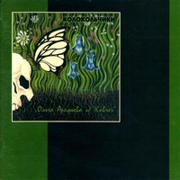 Голубочек - Ольга Арефьева, Ковчег