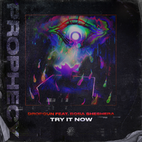 Try It Now - Dropgun