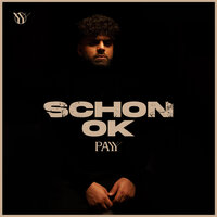 Schon ok - Payy