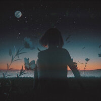 Dreamer - Orkid