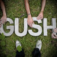 P-nis - Gush