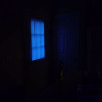 Persian Rugs - STK