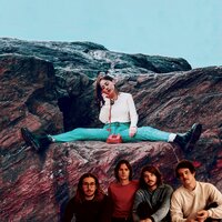 Stellate - The Districts