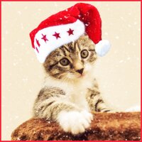 Petit Papa Noël - Music For Cats, Cats Music Zone, Cat Music